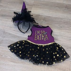 Pup Crew pet dog Halloween Costume ruffle dress and hat